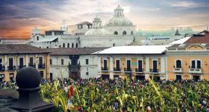 Procesión de Domingo de Ramos @ Iglesia de La Basílica